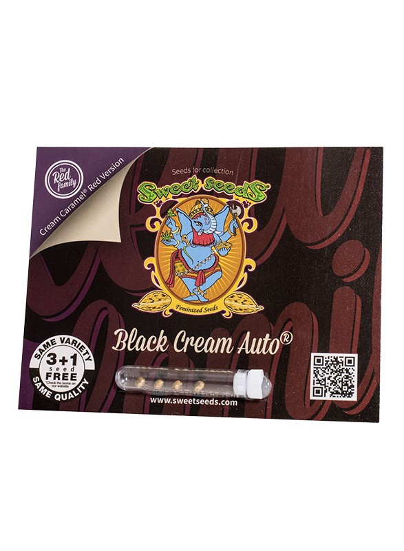 EN - Black Cream Auto® 3+1