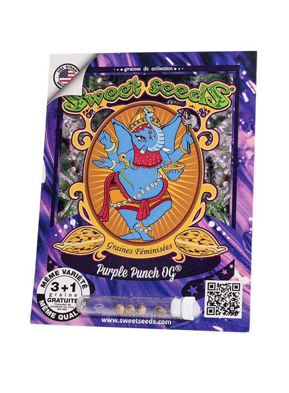 FR - Purple Punch OG® 3+1