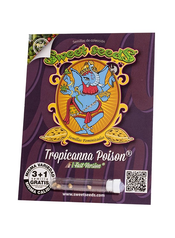ES - Tropicanna Poison F1 Fast Version® 3+1