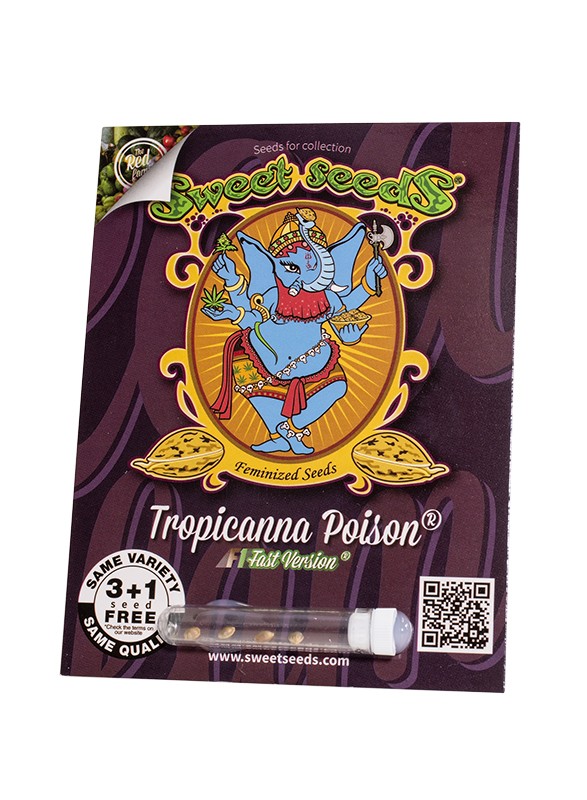 EN - Tropicanna Poison F1 Fast Version® 3+1