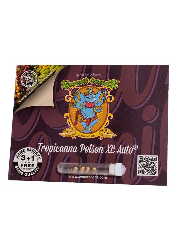 EN - Tropicanna Poison XL Auto® 3+1