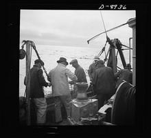 La guerra tuvo además efectos negativos en la importación de cáñamo. En la foto, pescadores en aguas estadounidenses reparan las redes de lino desgarradas por las rocas, debido a la escasez de barcos procedentes de Manila. Imagen de Howard Liberman en septiembre de 1942