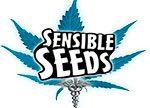 Sensible Seeds UK