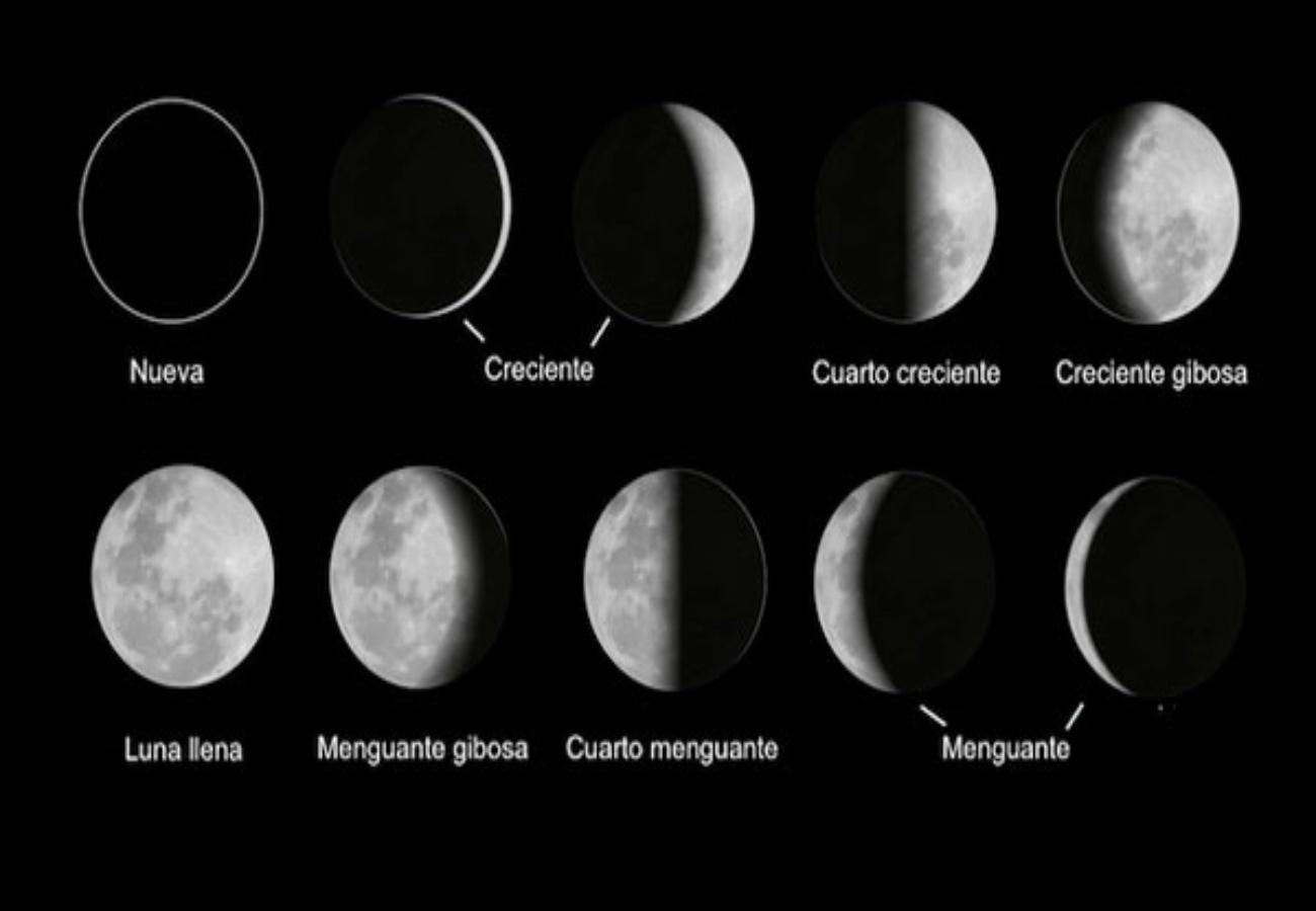 fases de la luna hemisferio sur