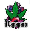 IL CANAPAIO GROW HEAD SHOP SRLS