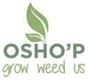 OSHO’P GROWSHOP TORINO