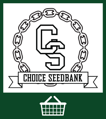 Choice seedbank - Sweet seeds